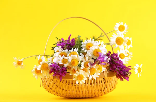 Beautiful wild flowers in basket, on yellow background — Stock Photo, Image