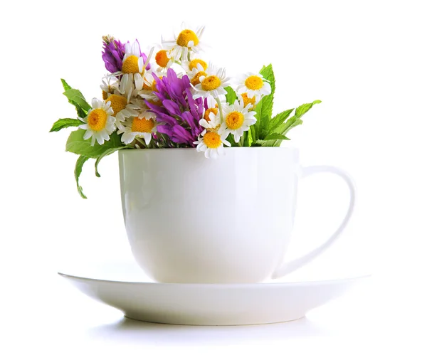 Belles fleurs sauvages et menthe en tasse, isolées sur blanc — Photo