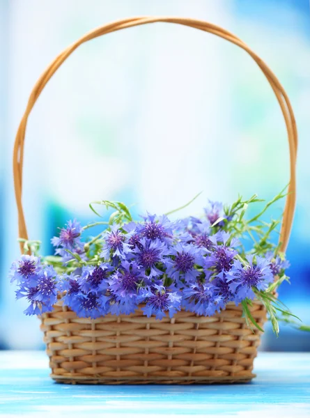 Красивый букет васильковых цветов в корзине на голубом фоне — стоковое фото