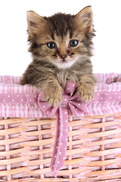 Pequeño gatito en cesta aislado en blanco —  Fotos de Stock