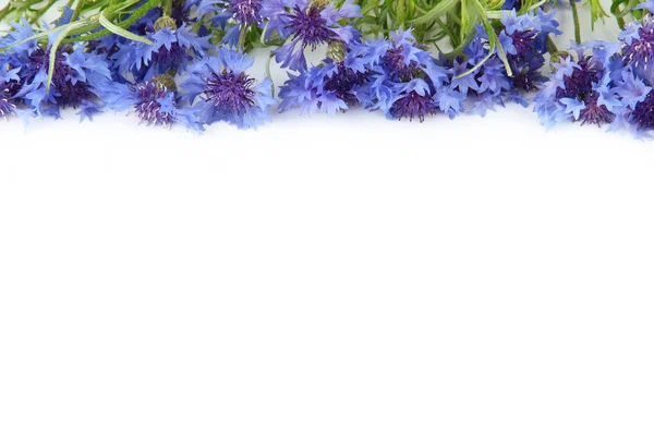 Beautiful bouquet of cornflowers ,isolated on white — Stock Photo, Image