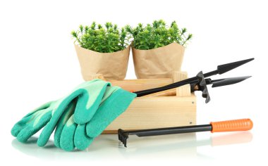 bahçe araçları beyaz üzerinde izole