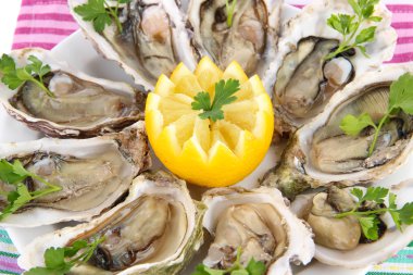 istiridye yakın çekim