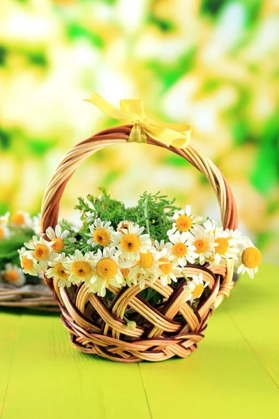 Divoké camomiles a klásky v koši, na zeleném pozadí — Stock fotografie