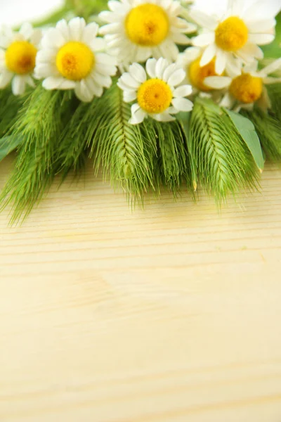 Green spikelets and wild camomiles, on wooden background — Stock Photo, Image