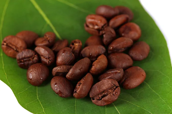 Kaffe korn på grönt blad närbild — Stockfoto