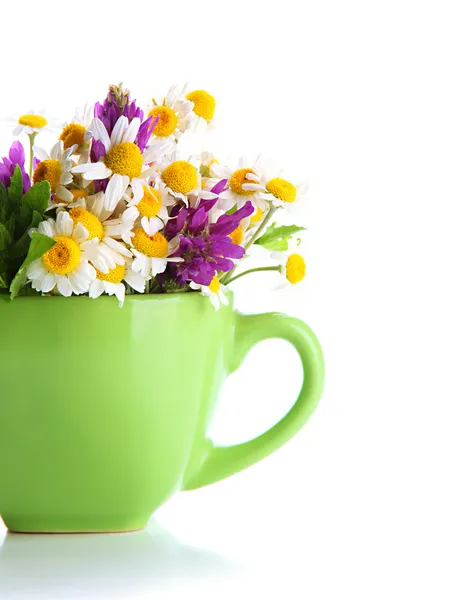Gyönyörű vadvirágok és a menta, kupa, elszigetelt fehér — Stock Fotó