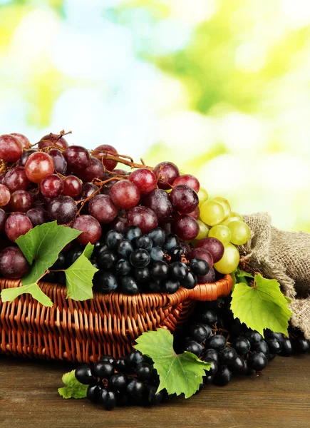 Assortment of ripe sweet grapes in basket, on green background — Stock Photo, Image