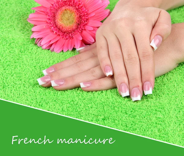 Woman hands with french manicure and flower on green towel — Stock Photo, Image