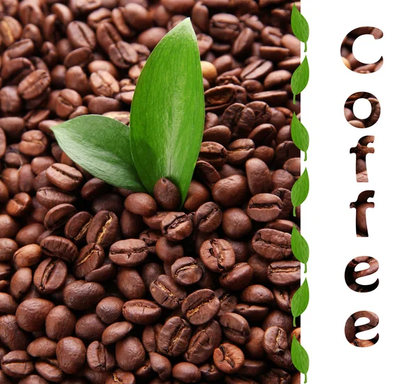 Coffee beans with leaves close-up — Stock Photo, Image