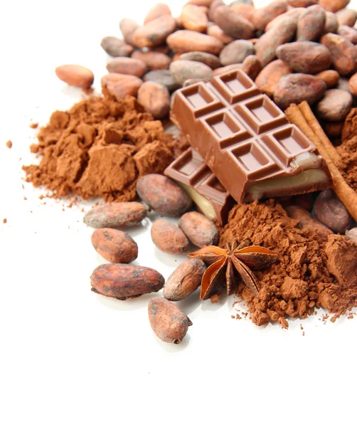 Zusammensetzung von Schokoladenbonbons, Kakao und Gewürzen, isoliert auf weiß — Stockfoto