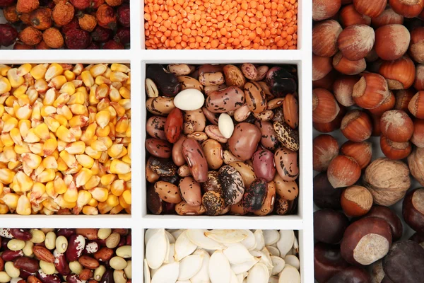 Assortment of chestnut,beans — Stock Photo, Image