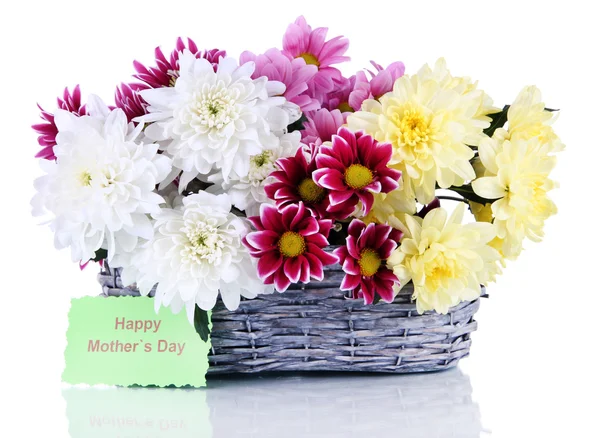 Bouquet de beaux chrysanthèmes dans un panier en osier isolé sur blanc — Photo