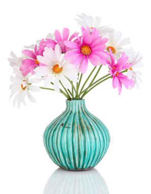 renkli cam aranjman beyaz izole güzel papatyalar