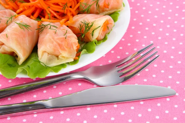 Stuffed cabbage rolls close-up — Zdjęcie stockowe