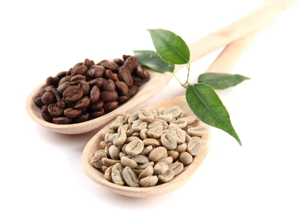 Groen en bruin koffie bonen in houten lepels en bladeren geïsoleerd op wit — Stockfoto