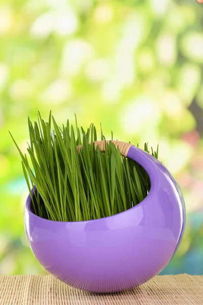 Green grass in decorative pot on bright background — Stock Photo, Image