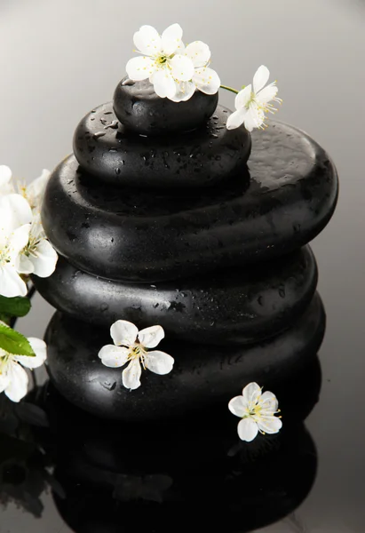 Spa stones and white flowers on dark background — Stock Photo, Image