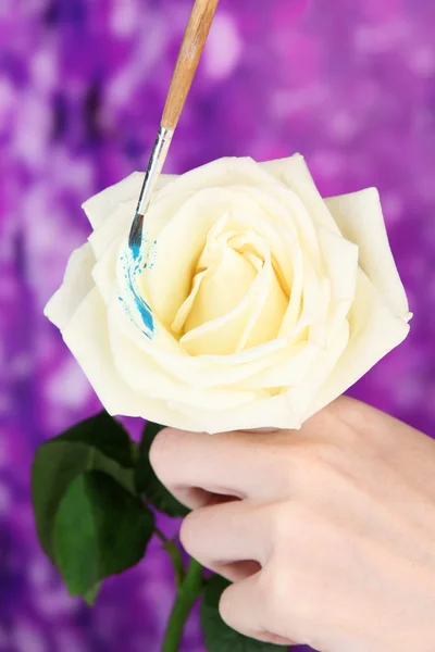 Weibliche Hände, die weiße Blume halten und mit Farben bemalen, auf hellem Hintergrund — Stockfoto