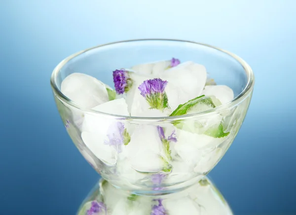 Ice cubes with flowers and herbs in bowl, on blue background — Stock Photo, Image