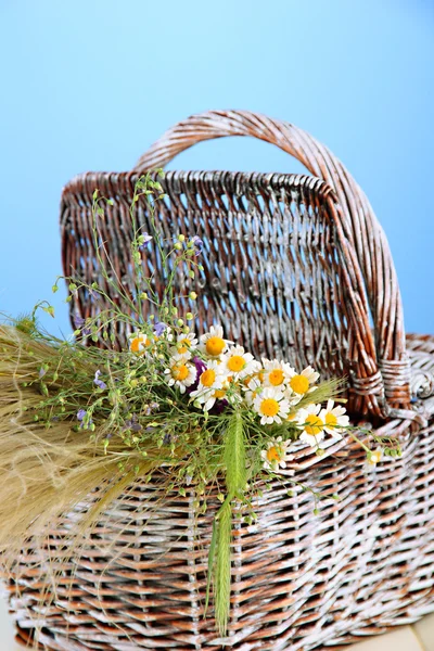 Ramo de flores y hierbas silvestres, en canasta de mimbre, sobre fondo de color — Foto de Stock