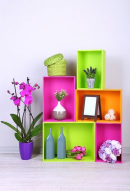 güzel renkli raflara farklı ev ilgili nesneleri