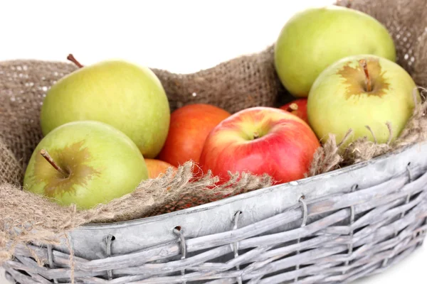 Mogna äpplen i korgen närbild — Stockfoto