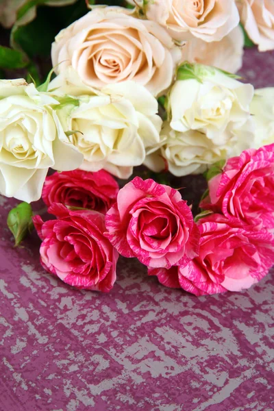 Belle rose colorate primo piano, su sfondo a colori — Foto Stock