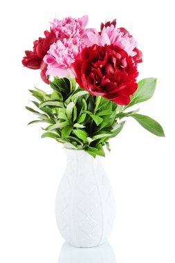 güzel peonies üzerinde beyaz izole