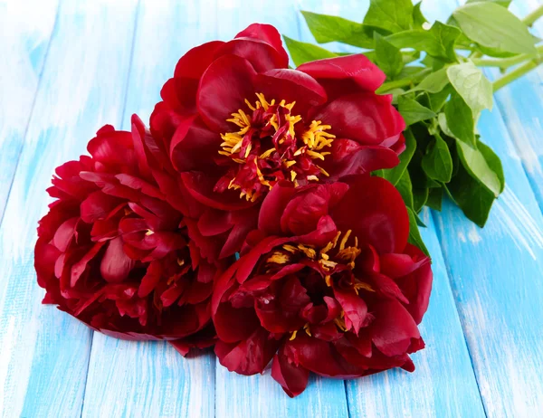 Üzerinde tablo yakın çekim güzel peonies — Stok fotoğraf