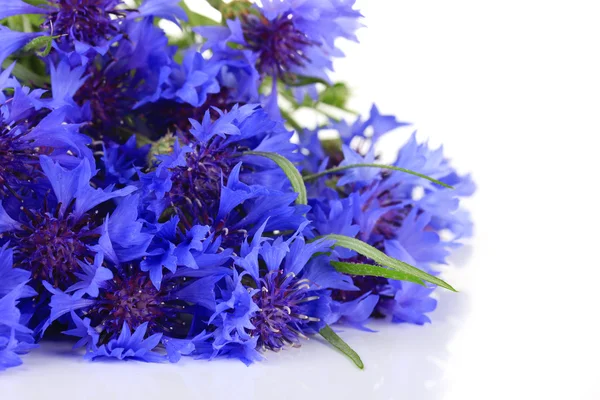 Beautiful bouquet of cornflowers, isolated on white — стоковое фото