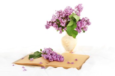 bileşimi lilacs parlak zemin üzerine ile