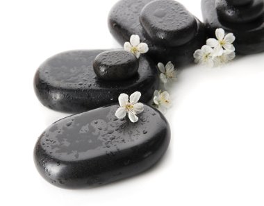 Spa taşlar ve beyaz çiçekler üzerinde beyaz izole