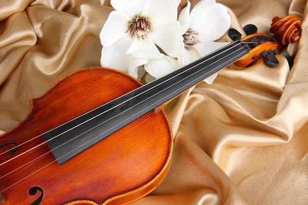 Классическая скрипка на тканевом фоне — стоковое фото