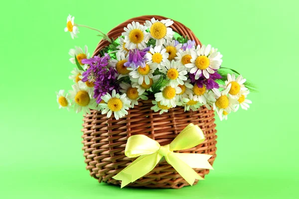 Beautiful wild flowers in basket, on green background — Stock Photo, Image