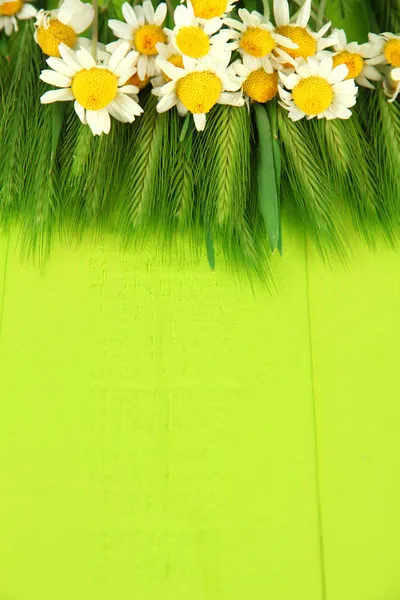 Green spikelets and wild camomiles, on wooden background — Stock Photo, Image