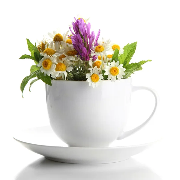 Vackra vilda blommor och mynta i cupen, isolerad på vit — Stockfoto