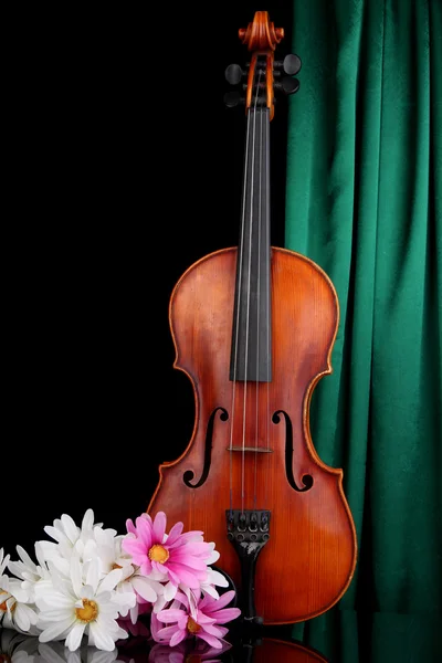 Violín clásico sobre fondo cortina — Foto de Stock