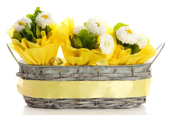 Schöne Frühlingsblumen im Korb isoliert auf weiß — Stockfoto