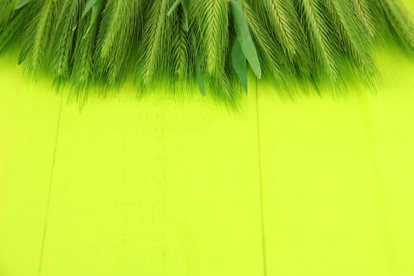 Spille verdi, su fondo di legno — Foto Stock