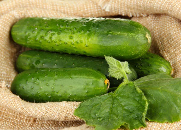 Läckra gröna gurkor på säckväv bakgrund — Stockfoto