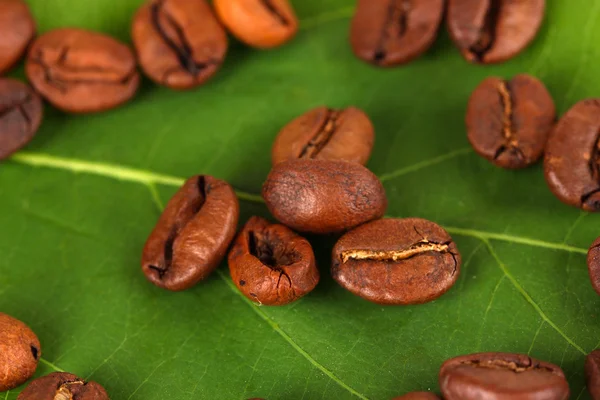 Kaffeekörner auf grünem Blatt in Nahaufnahme — Stockfoto