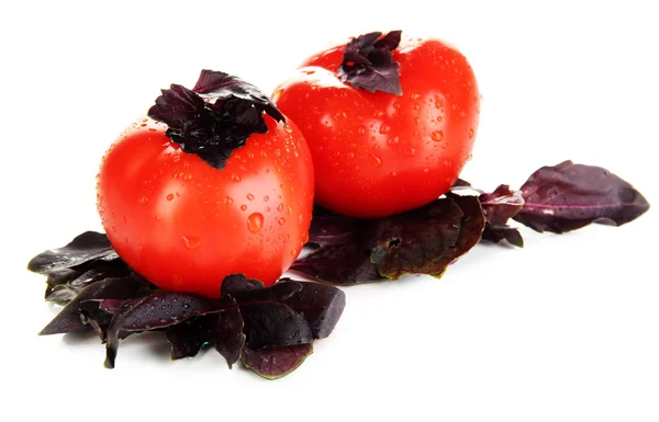 Färska tomater och basilikablad isolerad på vit — Stockfoto