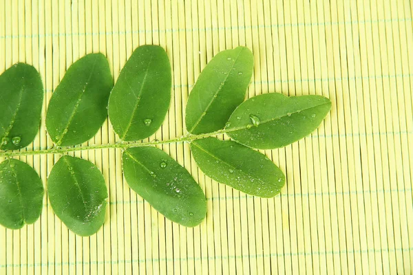 Hojas verdes sobre fondo de estera de bambú —  Fotos de Stock