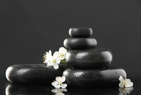 Spa stones and white flowers isolated on black — Stock Photo, Image