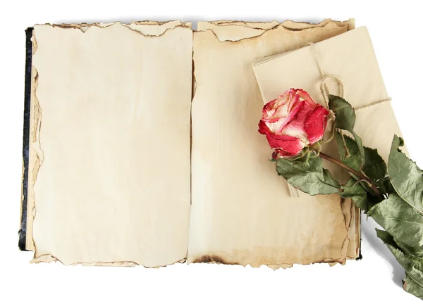 Open old book, letters and rose isolated on white — Stock Photo, Image