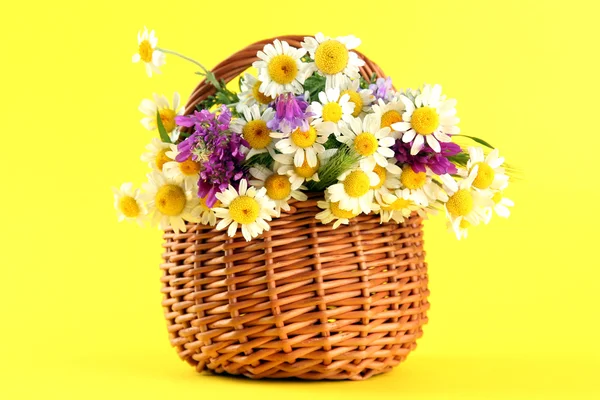 Beautiful wild flowers in basket, on yellow background — Stock Photo, Image