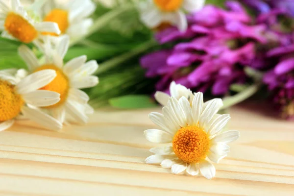 Wild flowers, on wooden background — Stock Photo, Image