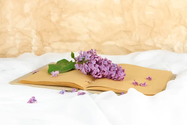 Lilacs branch on book on light background — Stock Photo, Image
