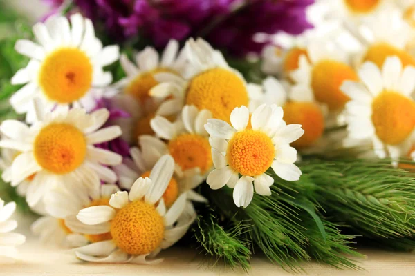 Wild flowers and green spikelets, close up — Stock Photo, Image